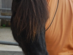 Aboti