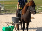 DSC_4552