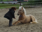Kurs2